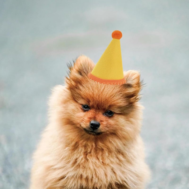 Cellcacn 20 Pcs Dog Birthday Hat Set for Small Medium Dogs Cat Puppies, Mini Party Hat with Adjustable Headbands, Cute Pet Hat with Pompons for Birthday Christmas Party Decoration Accessories (Small 3.5 Inch) - Image 5